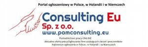 Consulting Eu (ConsultingEu), Cała Holandia, Poznań