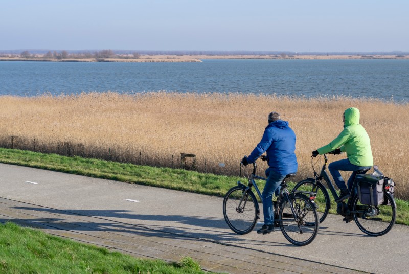 Ścieżka rowerowa w rezerwacie Oostvaardersplassen w Almere.