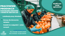 Pakowanie owocow i warzyw Rotterdam - Westland