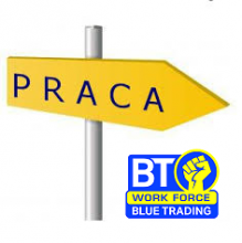 Praca - produkcja i ogrodnictwo - Noord Holland