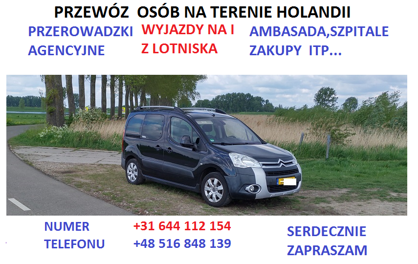 Przewóz osób na terenie Holandii, Belgii.