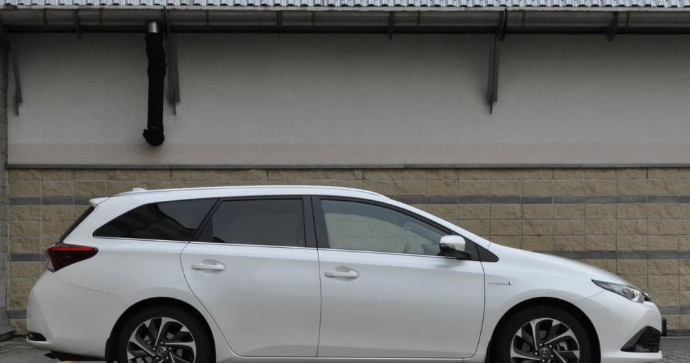 Przewozy transport po całej Holandii