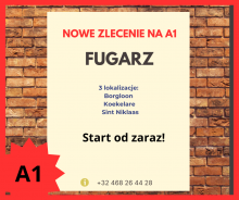 Fugarz, fugowanie klinkieru, Belgia, zlecenie A1