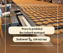 PRODUKCJE | PRACA BEZ WYMAGAŃ | ZAKWATEROWANIE