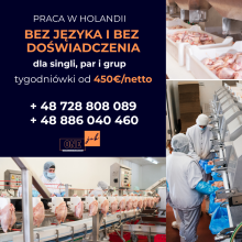PRACA HOLANDII produkcja tygodniówki od 450€/netto