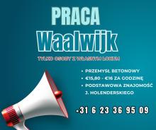 Praca Waalwijk