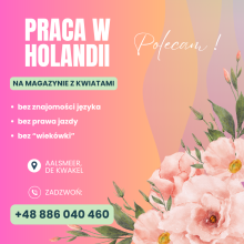 PRACA W HOLANDII NA MAGAZYNIE Z KWIATAMI