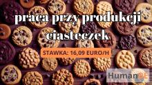 praca na produkcji ciasteczek, Holandia