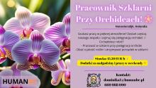 praca przy orchideach