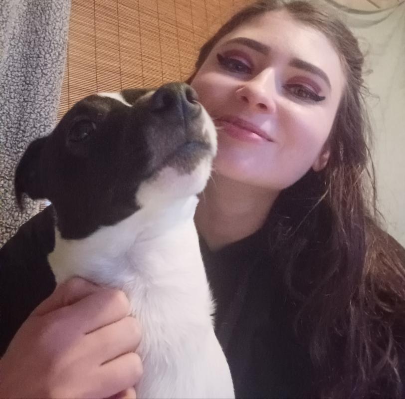 Opiekun dla Twojego psa :)