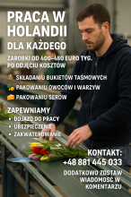 Dostępne stanowiska na 26.07