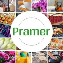 Magazynier + order-picker - praca w Holandii