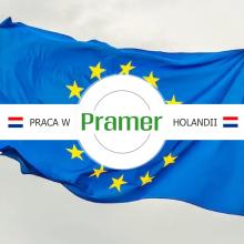 Pracownik sortowni warzyw (kapusta, buraki, fasola