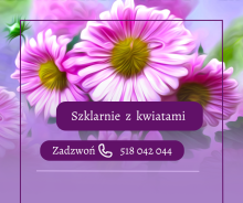 Szklarnie z Kwiatami - HOLANDIA  - BEZ WYMAGAŃ