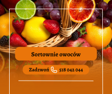 PRODUKCJA KANAPEK | HOLANDIA | ZAKWATEROWANIE