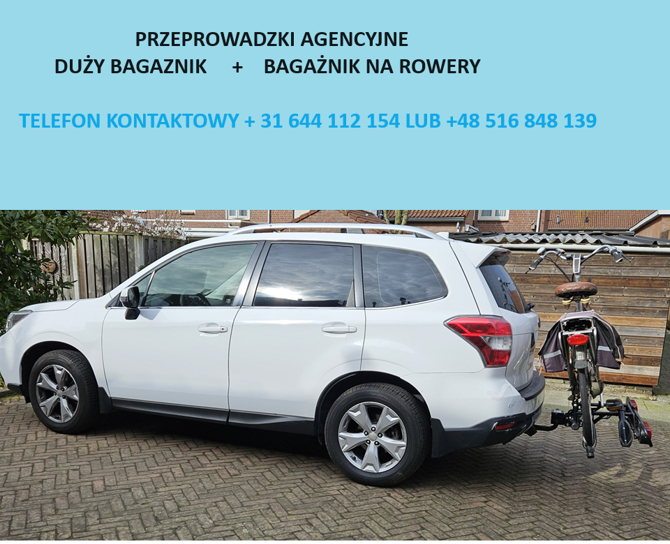 Przewóz osób na terenie Holandii, Belgii.