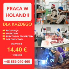 PRACA W HOLANDII
