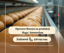 OPERATOR MASZYN NA PRODUKCJI | HOLANDIA
