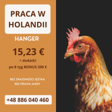 PRACA W HOLANDII NA PRODUKCJI DROBIU