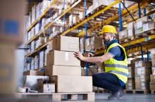 Praca w Holandii – Order Picker