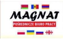 Współpraca z firmami z Holandii w celu rekrutacji
