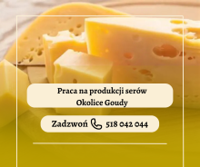 PRODUKCJE SERÓW | PARY | ZAKWATEROWANIE
