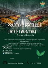 PRODUKCJA WARZYWA I OWOCE