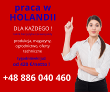 PRACA W HOLANDII DLA KAŻDEGO!