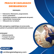 PRACA W HOLANDII – PRZETWÓRSTWO KURCZAKÓW