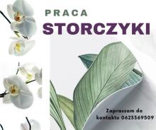 Praca w szklarni przy storczykach