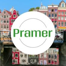 Pracownik pakowania pieczarek - praca w Holandii