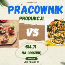 Pracownicy produkcji POSZUKIWANI