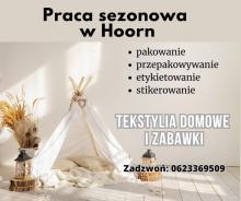 Fajna praca OD ZARAZ