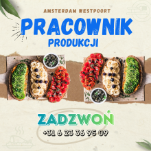 Praca Amsterdam Westpoort