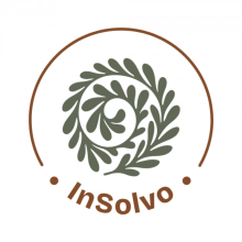 InSolvo: Twój osobisty przewodnik po życiu w NL