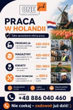 PRACOWNIK PRODUKCJI/MAGAZYNU/OGRODNICTWO