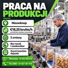 Praca na produkcji w Nieuwkoop 18.25/h
