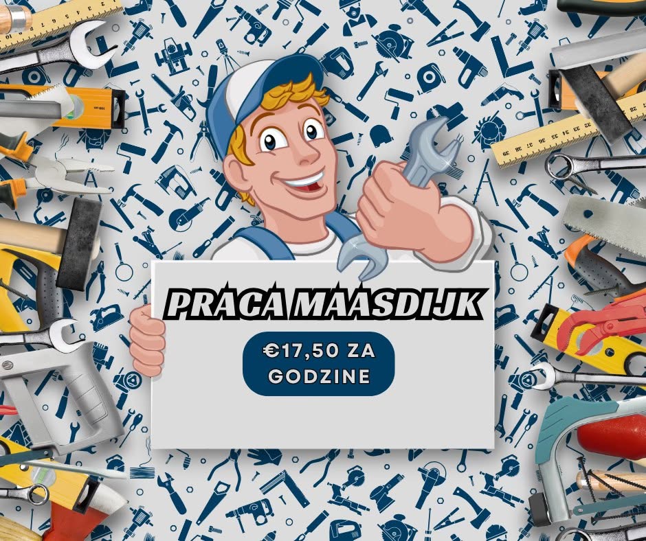 Praca OD ZARAZ  w Maasdijk