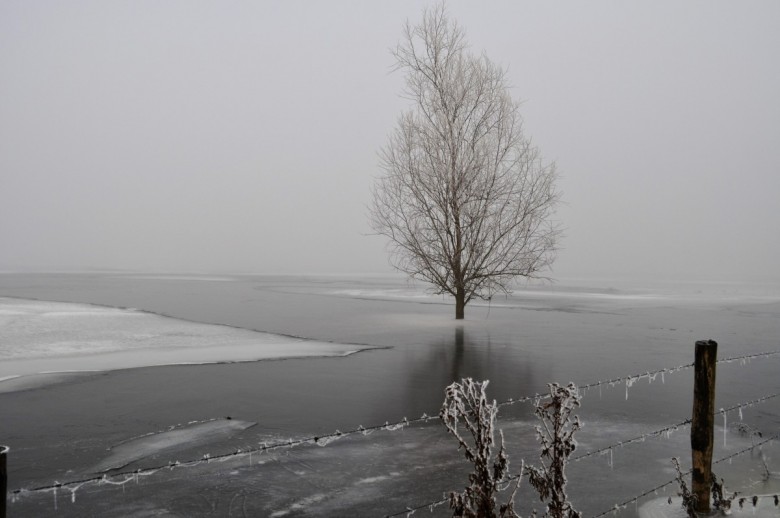 Alusia A. (Alusia), Nijmegen, Warsovie