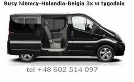 Arek przewożnik Delikta (deltransbus), Holandia,Belgia,Niemcy, bydgoszcz