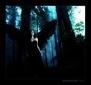 Black Angels (Dominika ........)