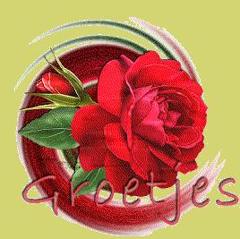 Jolanta M (joli), Tiel, ****