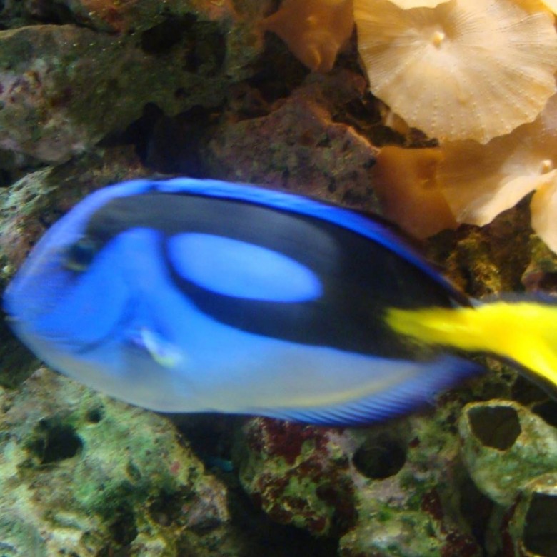 piotr grabowski (pipi21), amsterdam, zdunska wola