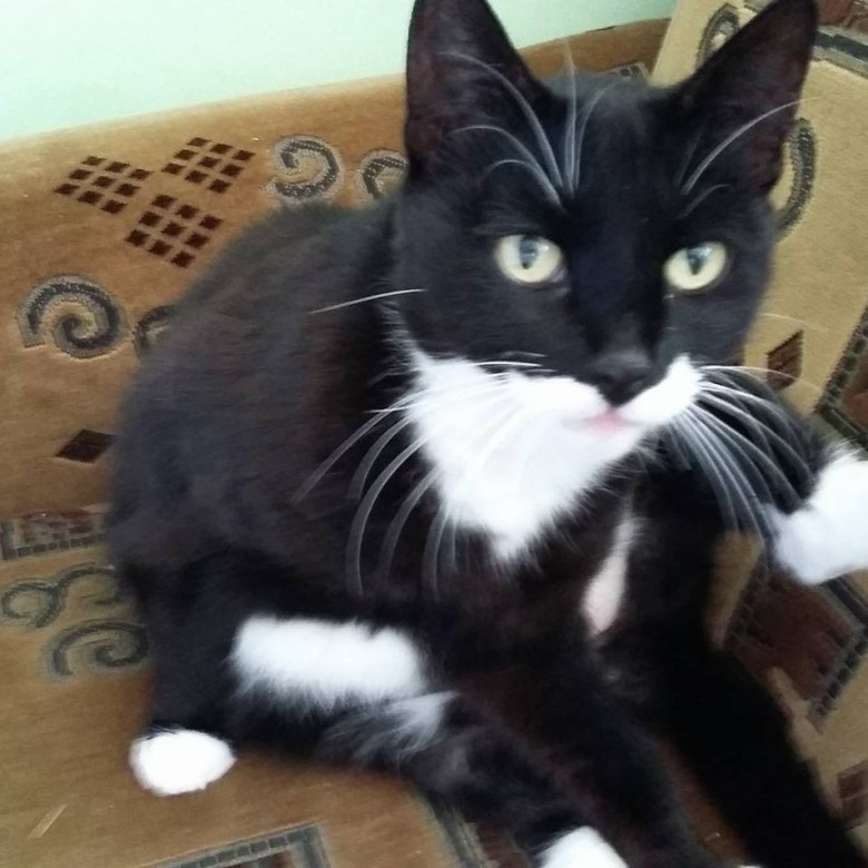 tomasz rudy (edhard), alphen a\d rijn, koszalin