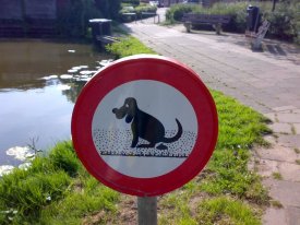 zbyszek zbyszkowski (dobrysiusiak), utrecht, wroclaw