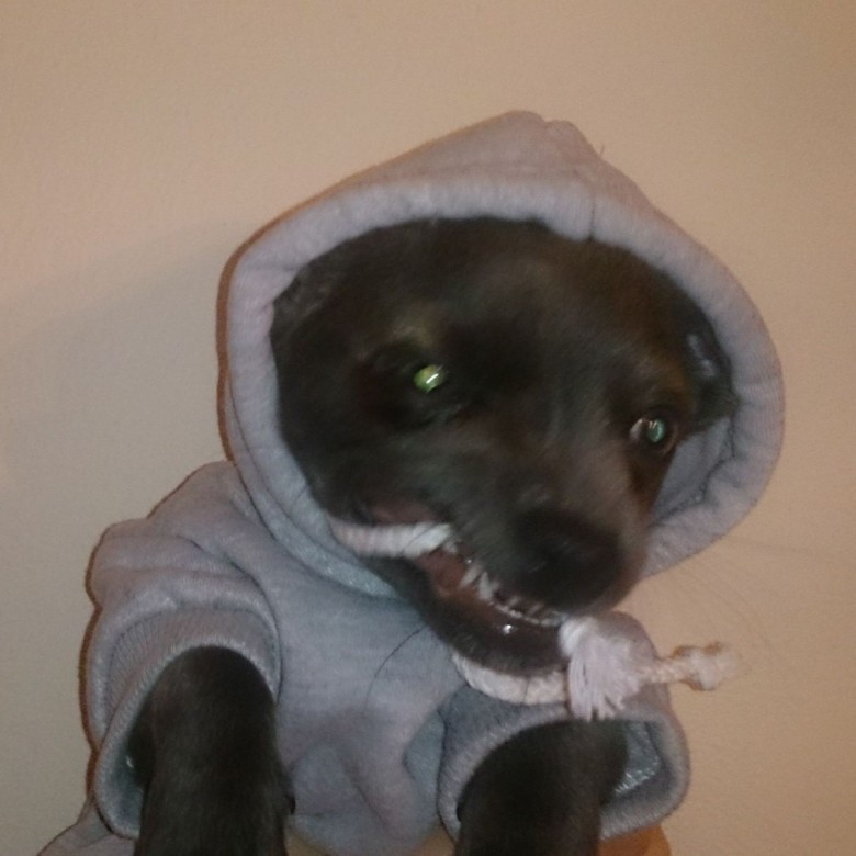 KAMIL VERBANT (heerlen), EINDHOVEN, LUBLIN