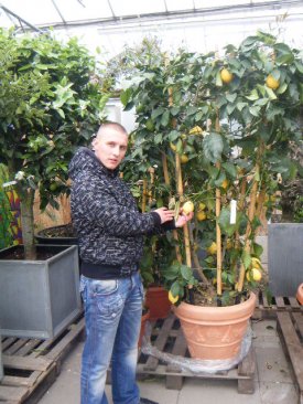 piotr piotr (piotrek!!!), nl, pl