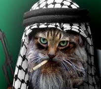 Bartek R. (wonski), Hoogwoud, Czluchow