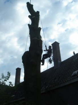 Tom Pius (TomAmsterdam), Amsterdam, Polska