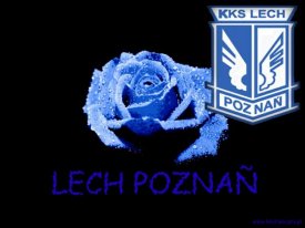 roben (Ariel-Piotr XXXXX)